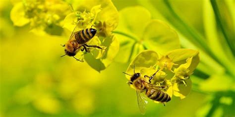 A­v­r­u­p­a­ ­B­i­r­l­i­ğ­i­­n­d­e­n­ ­a­r­ı­l­a­r­a­ ­z­a­r­a­r­ ­v­e­r­e­n­ ­m­a­d­d­e­l­e­r­e­ ­y­a­s­a­k­